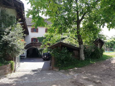 Bild 33 aus  Ansitz Grustdorf