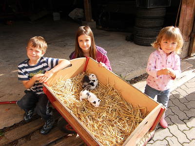 Bild 9 aus  Ferienhof Halbig