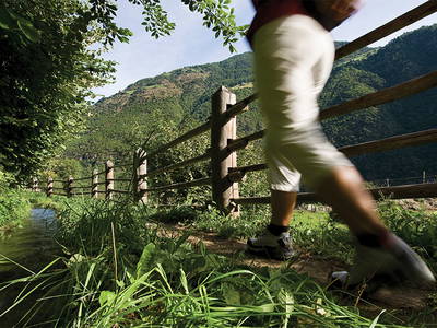 Bild 20 aus  Pension Sonnegg