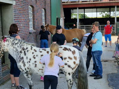 Bild 40 aus  Küstenhof Oldewurtel