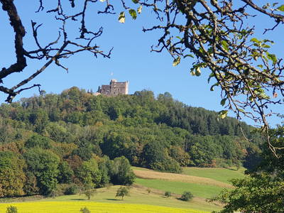 Bild 13 aus  Villa Schwarzwaldblick