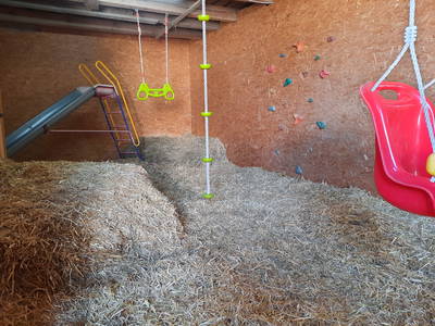 Bild 21 aus  Simmernhof - Familienurlaub auf dem Bauernhof