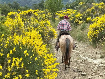 Bild 5 aus  Casa Bivignano