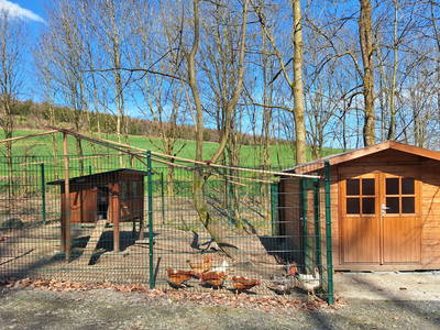 Bild 19 aus  Berges Glück