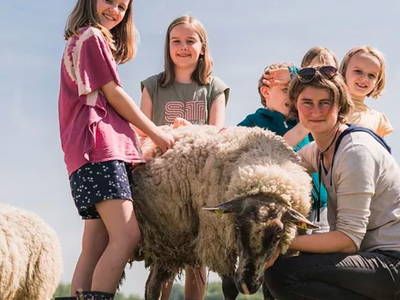 Bild 19 aus  Ferienhof Groth/ Hof Herzleuchten