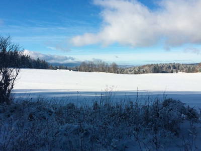 Bild 8 aus  Hofgut Koryto