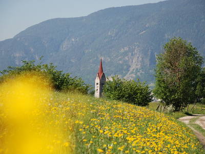 Bild 11 aus  Haus Sonnegg