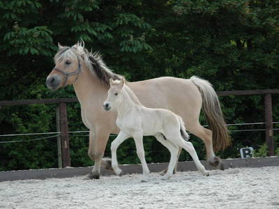 Bild 16 aus  Hof Carmshausen & Pension Hotze