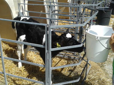 Bild 14 aus  Erholung - Natur pur - Urlaub auf dem Loyerhof