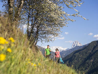 Bild 18 aus  Haus Sonnegg