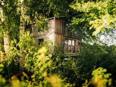 eingewachsen wie im Urwald