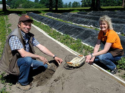 Bild 2 aus  Bauer Lange