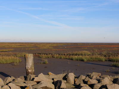 Bild 28 aus  Alter Bahnhof Vaale