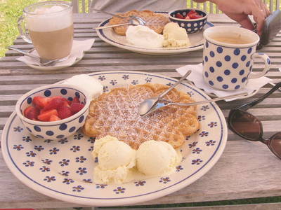 Bild 15 aus  STRANDDORF AUGUSTENHOF  - Ferienhäuser direkt an der Ostsee