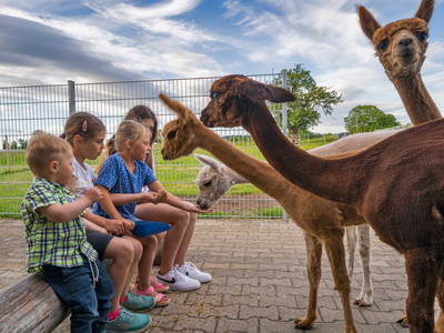 Bild 40 aus  Ferienwohnungen Wagner