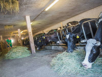 Bild 15 aus  Bioland Bauernhof Hausergut