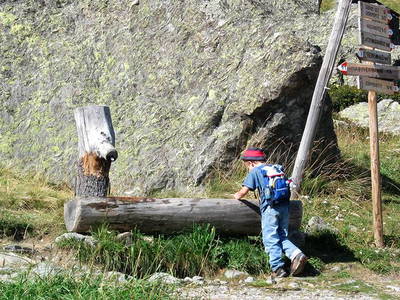 Bild 17 aus  Biobergbauernhof Garmesegg