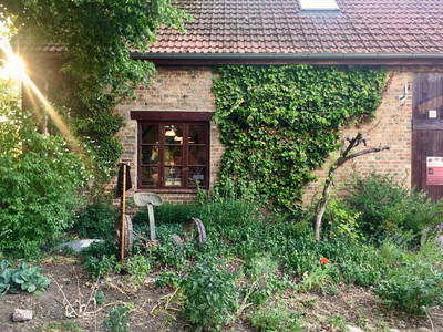 Bild 25 aus  Biber Ferienhof