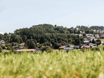 Bild 6 aus  Erlebnisbauernhof Englmeier