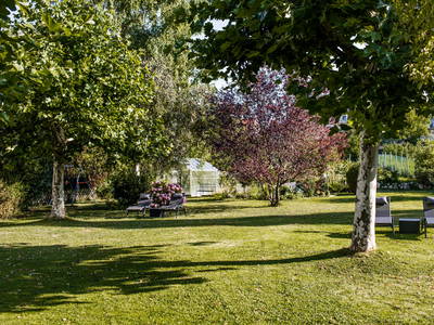 Bild 9 aus  Das Blum am Bodensee
