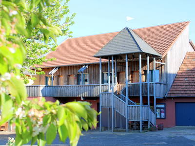 Bild 2 aus  Bauernhofurlaub auf Larbigs Art