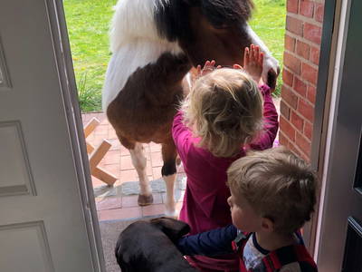 Bild 65 aus  Lindenhof