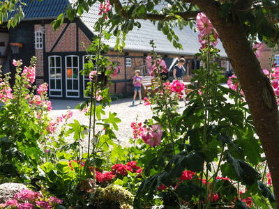 Bild 3 aus  Ferienhof Presener Deichkrone