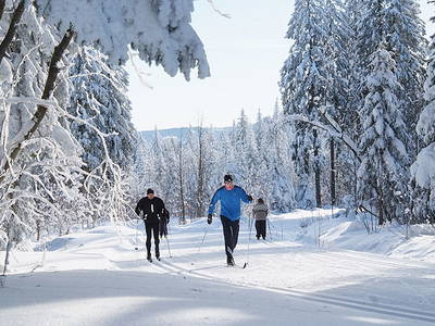 Bild 10 aus  Pension Kolbeck