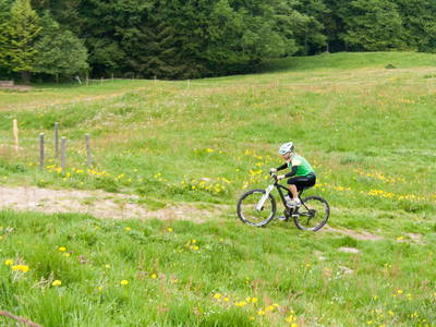 Bild 25 aus  Ferienhof Rasch