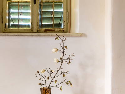 Bild 21 aus  Gut Hornegg