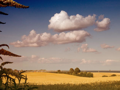 Bild 15 aus  Ferienhof Johannsen