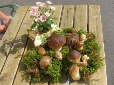 Schöne Herrenpilze gefunden.