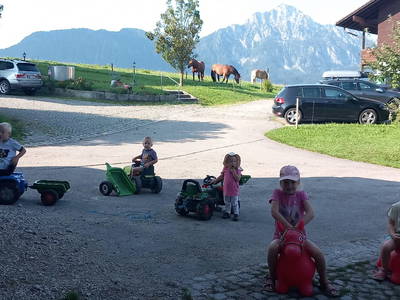 Bild 19 aus  Fuchsbauernhof