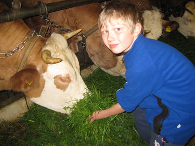 Bild 12 aus  Winklerhof-Kinderlandbauernhof, Familie Esterer