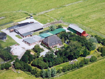 Bild 3 aus  Kantorhof