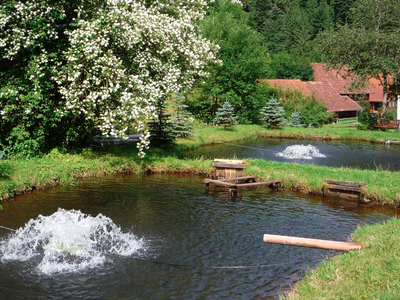 Bild 14 aus  Wellness-Bauernhof Eulersbacher Hof
