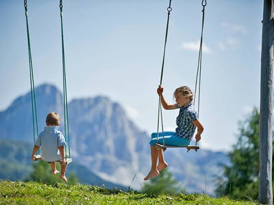 Bild 28 aus  Appartement Birkenhof - Urlaub mit Pferden und Alpakas