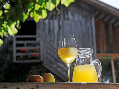 Bild 22 aus  Haus Jakober