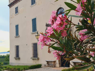 Bild 5 aus  Appartement in antikem Schloss in Lazise