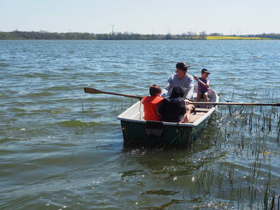 Bild 56 aus  Gestüt Hof am See