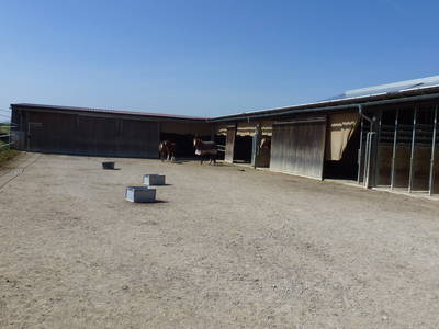 Bild 14 aus  Landgasthof Zum Elsabauern