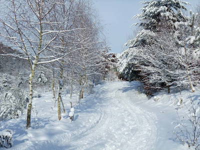 Bild 20 aus  Ferienhäuser Bellana