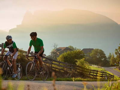 Bild 39 aus  Huber-Hof