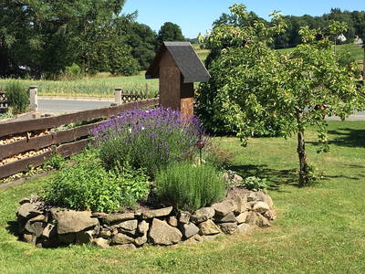 Bild 5 aus  Frankenwaldhof