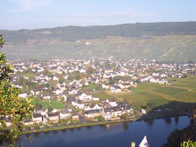 Bild 14 aus  Weingut Steffen-Herzog