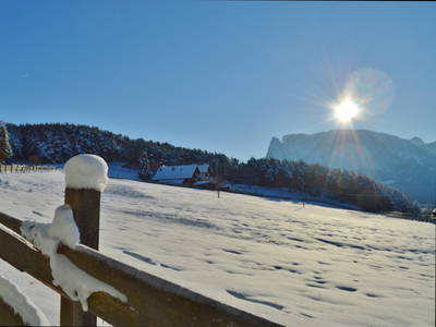 Bild 25 aus  Weberhof - Biobauernhof