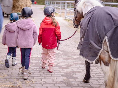 Wer sich traut darf auch Führen