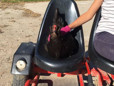 Bild 19 aus  Baustrup Hof