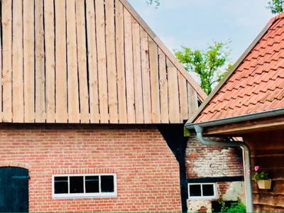 Bild 8 aus  Skop'nboer