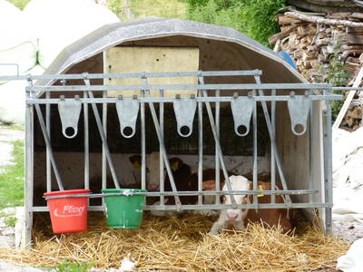 Bild 14 aus  Winklerhof-Kinderlandbauernhof, Familie Esterer